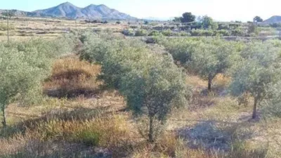 Terreno en venta en El Rebolledo - Vista 3