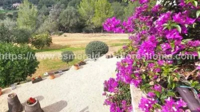Chalet in Calvià Vila photo 2