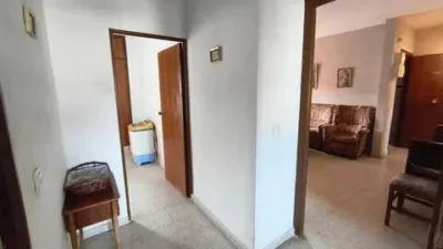 Apartment on Avenida de Lusitania photo 18