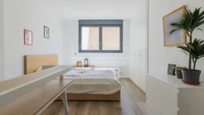 Apartment in Niño Jesús photo 2