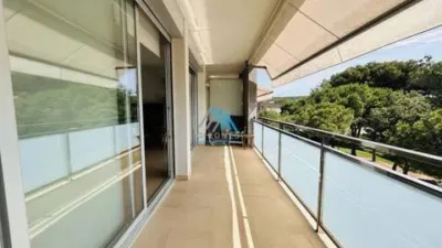 Penthouse on Carrer de la Selva photo 29