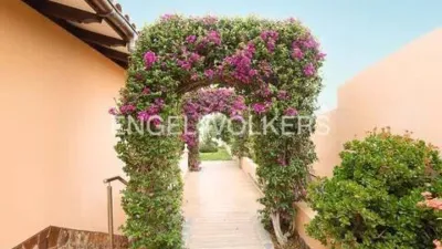 Chalet in San Vicente photo 17