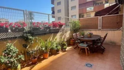 Apartment on Juan de Borbón photo 9