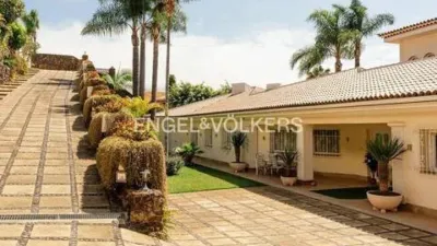 Chalet in La Orotava photo 37