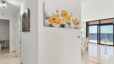 Apartment in Platja de Ponent photo 11