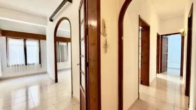 Apartment in Bons Aires photo 4