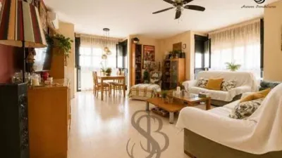 Apartment in City Centre photo 6