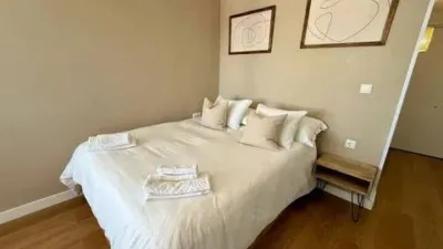 Penthouse on Calle de Extremadura photo 14