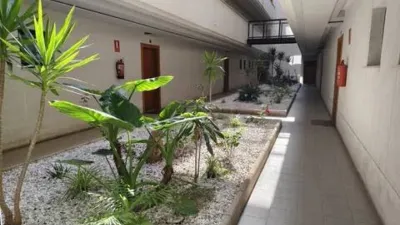 Apartment in Centre-Port-Platja Llevant photo 95