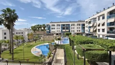Apartment in Centre-Port-Platja Llevant photo 5