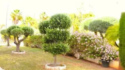 House on Cl Ur17 Lauro Golf, 2 photo 12