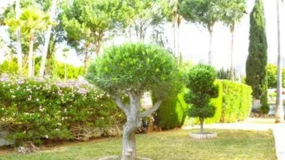 House on Cl Ur17 Lauro Golf, 2 photo 13