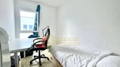 Apartment in La Oliva photo 12