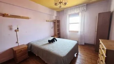 Apartment in Santurde photo 12