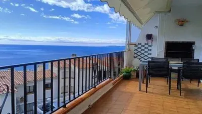 Apartment in Port Esportiu-Canyelles-Puig Rom photo 2