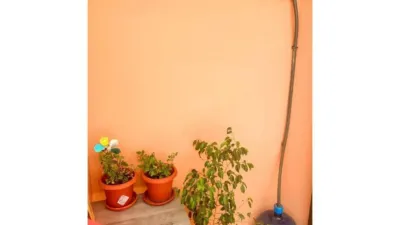 Apartment in Llevant photo 16