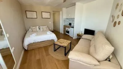 Penthouse on Calle de Extremadura photo 33