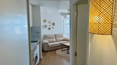 Penthouse on Calle de Extremadura photo 26