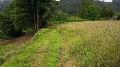 Terreno en venta en Miño - Vista 5
