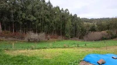 Rustic house in Ortigueira photo 41