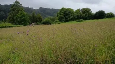Terreno en venta en Miño - Més