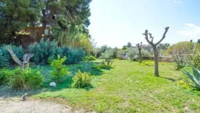 Rustic house in Pechina photo 50