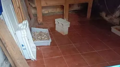 Rustic house in Ortigueira photo 25