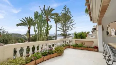 Apartment in Costa de la Calma photo 24