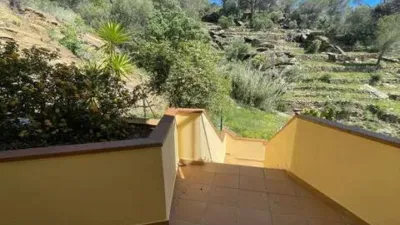 Chalet in Els Grecs-Mas Oliva photo 31