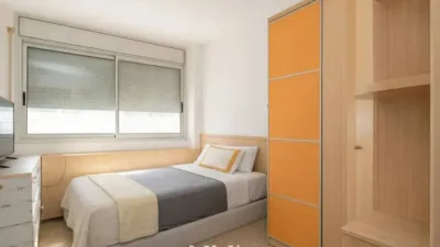 Apartment in La Torre-roja-Campreciós-Grup Sant Jordi photo 21