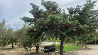 Chalet in Onil photo 23