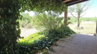 Casa rústica en venta en Villarrobledo - Més