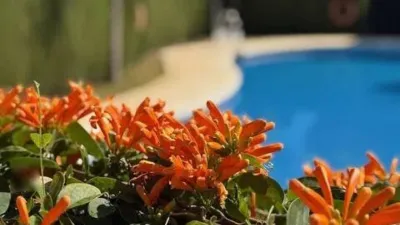 House in Costa Natura photo 25
