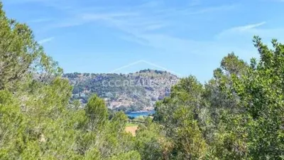 Chalet in Font de Sa Cala photo 20