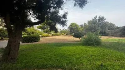 Apartment in El Saler photo 34