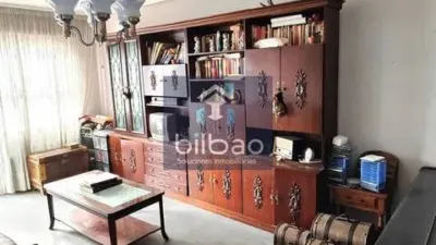 Apartment in Ajangiz photo 7