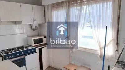Apartment in Ajangiz photo 10