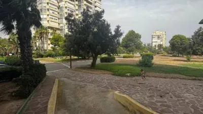 Apartment in El Saler photo 31