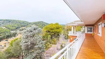Chalet in Sant Pol de Mar photo 62