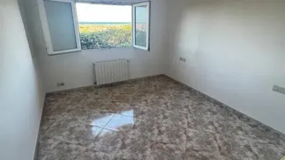 Apartment in El Saler photo 24