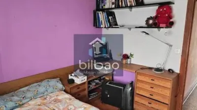 Apartment in Ajangiz photo 4