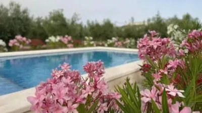 Chalet in Onil photo 25