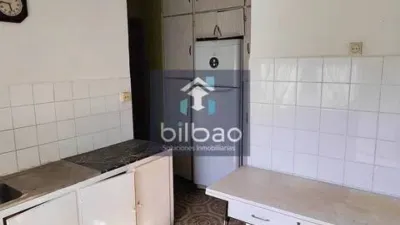 Apartment in Ajangiz photo 11