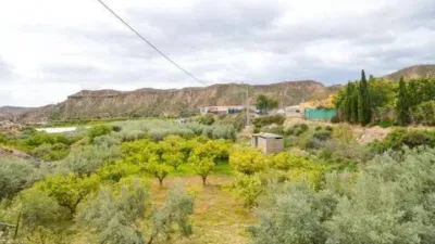 Rustic house in Gádor photo 53