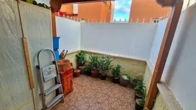 Apartment in Aldea Blanca photo 14