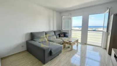 Apartment in La Oliva photo 4