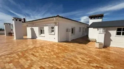 Apartment in Els Grecs-Mas Oliva photo 12