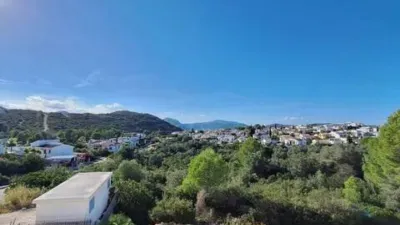Pis - Vista 2
