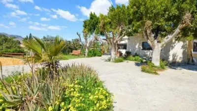 Rustic house in Pechina photo 35