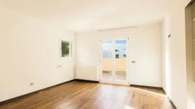 Chalet in Sol de Mallorca-Portals Vells photo 13